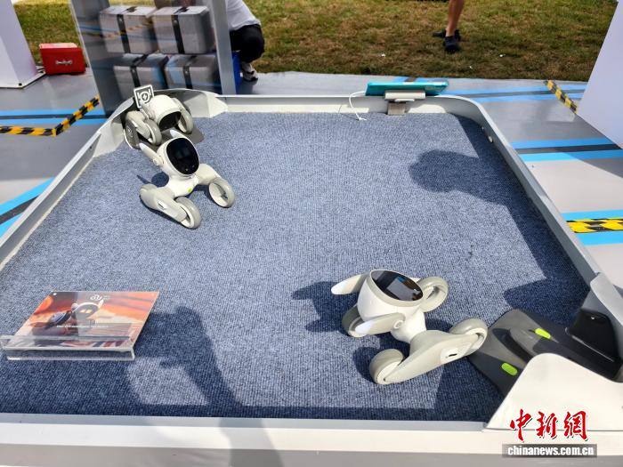 北京2025中网开启科技引领的体育文化融合盛宴